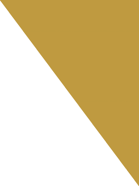 main-slider-shape-1_or